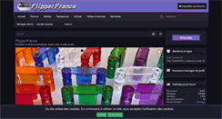 Desktop Screenshot of flipperfrance.com